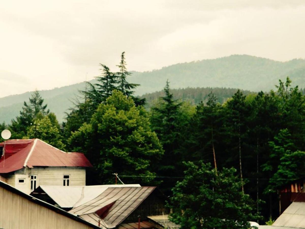 Erik'S Guest House Borjomi Bagian luar foto