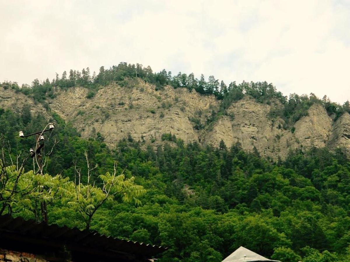 Erik'S Guest House Borjomi Bagian luar foto